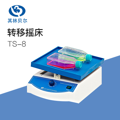 其林貝爾TS-8型轉(zhuǎn)移脫色搖床實驗室搖床振蕩器混勻儀振蕩混勻臺式小型