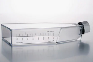 德國艾本德(Eppendorf)Cell Culture FlasksT-175,無菌無熱原,無RNase和DNase,無人類和細菌DNA,無細胞毒素,帶濾膜透氣蓋,TC處理,30.0mL